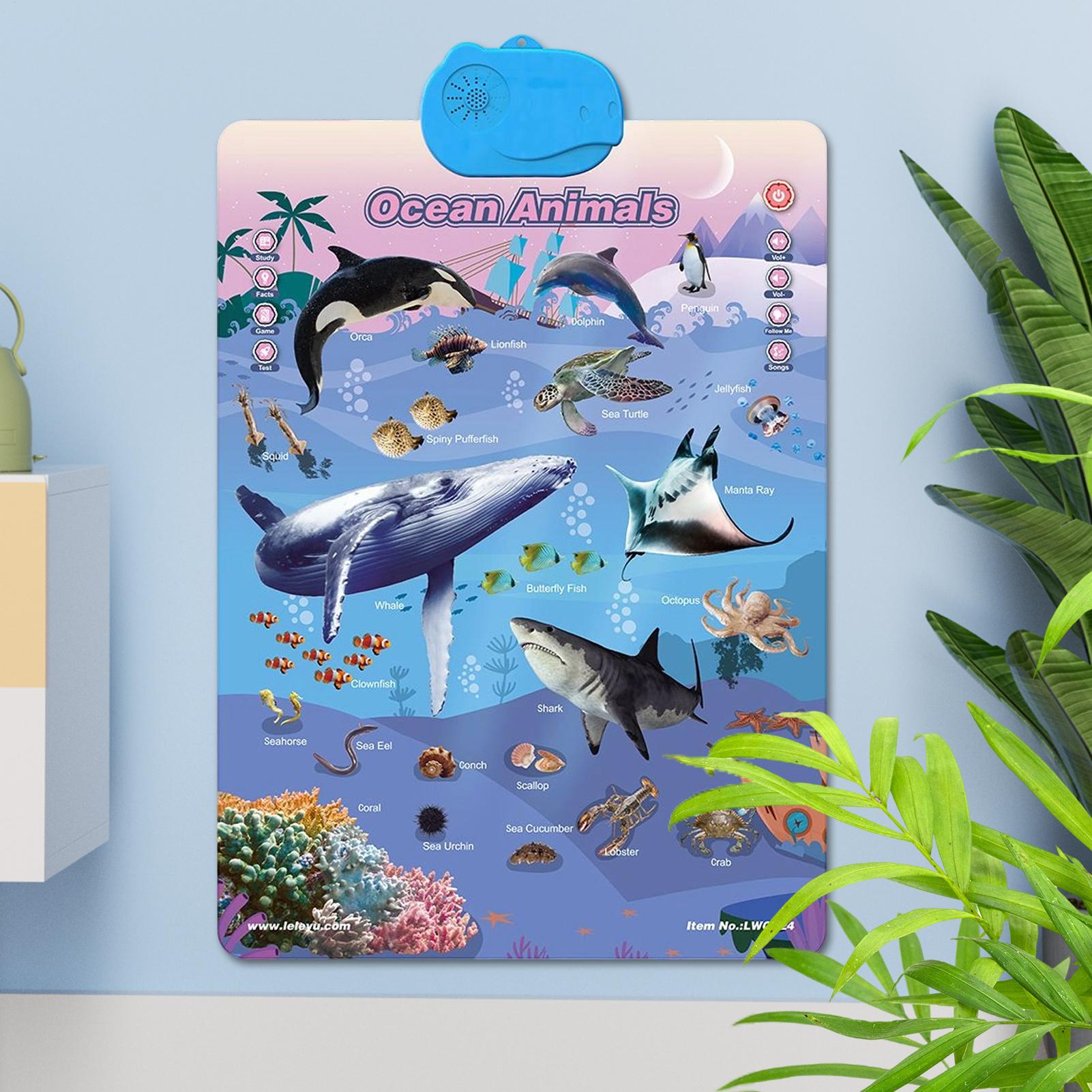 Kids Learning Posters Interact - Kids Outdoor Tools recension och pris